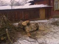 Спиливание дерева, Шуйский район,Телефон: +7 930-005-10-11 E-mail: bla